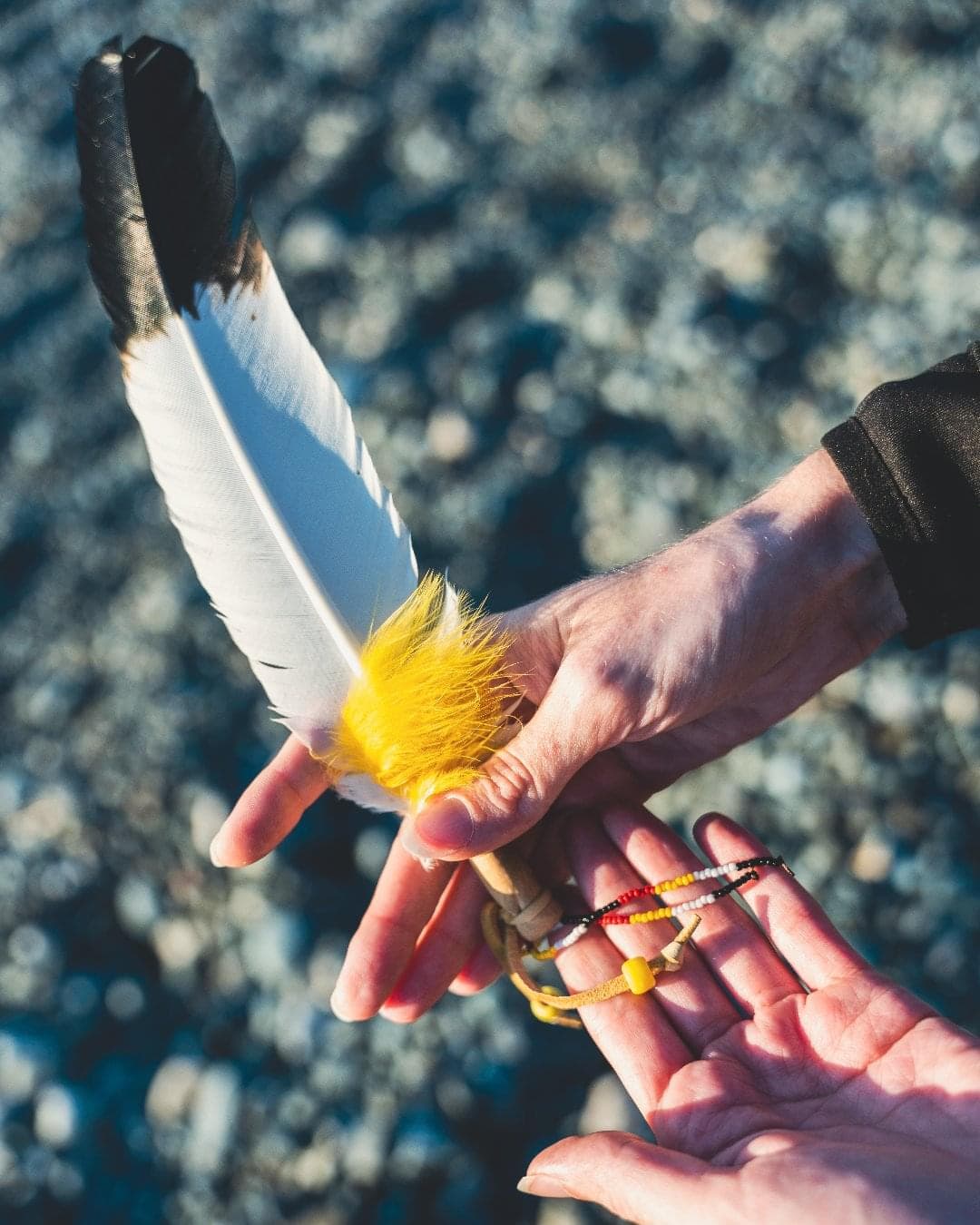 Two hands hold a large, white feather with a black tip. There is a string of white, red, black and yellow beads coming from the end of the feather and loosely wrapped around fingers.