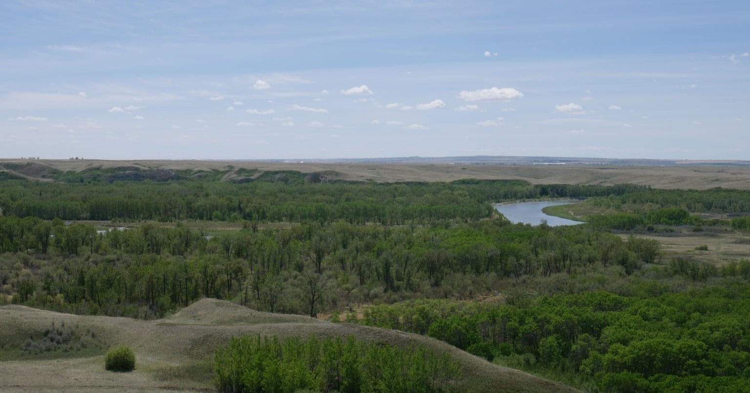 Une rivière sinueuse bordée d'arbres, de collines et d'un ciel bleu.