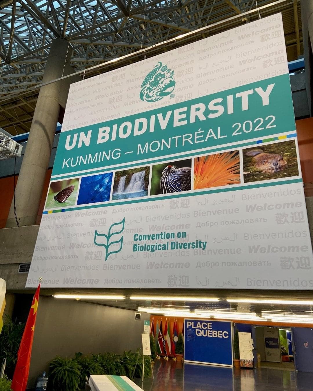 A large sign is suspended from a ceiling. The sign says: UN Biodiversity. Kunming – Montréal 2022. Convention of Biological Diversity. There are pictures of wildlife and nature on the sign.