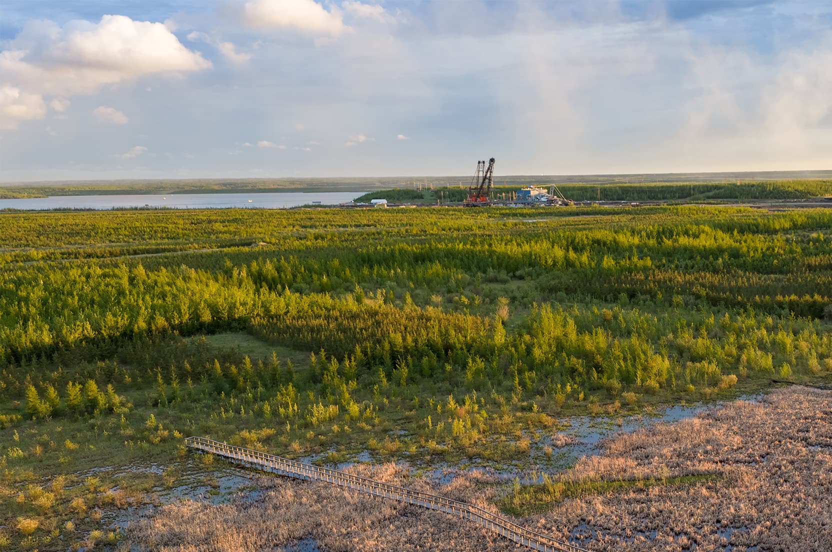 Aerial view of a reclaimed wetland and forest landscape with a wooden boardwalk crossing marshy terrain in the foreground. A lake and industrial facility are visible in the distance, surrounded by extensive green vegetation under a partly cloudy sky.